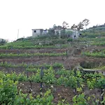 Casas Do Campo Da Moita *