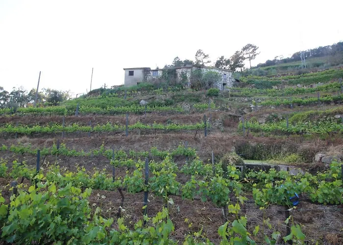 Casas Do Campo Da Moita *